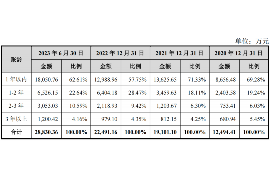 盐池融资清欠服务